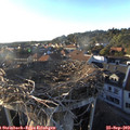 18_20-nest.jpg