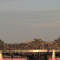 18_25-mast.jpg