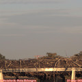 18_30-mast.jpg