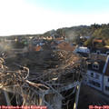 18_35-nest.jpg