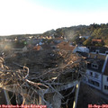18_40-nest.jpg