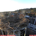 18_45-nest.jpg
