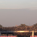 18_50-mast.jpg