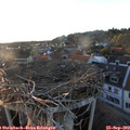 18_55-nest.jpg