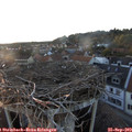 19_00-nest.jpg