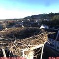 07_45-nest.jpg