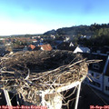 07_55-nest.jpg