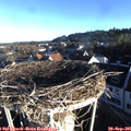 08_00-nest.jpg