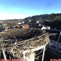 08_10-nest.jpg