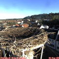 08_20-nest.jpg