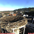08_25-nest.jpg