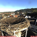 08_30-nest.jpg