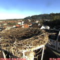08_35-nest.jpg