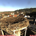 08_45-nest.jpg