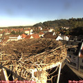 09_10-nest.jpg