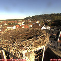 09_15-nest.jpg