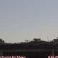 09_30-mast.jpg