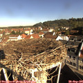 09_30-nest.jpg