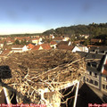09_40-nest.jpg