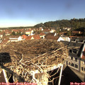09_45-nest.jpg