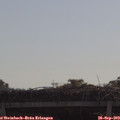 10_00-mast.jpg