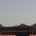 10_25-mast.jpg