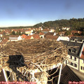 10_25-nest.jpg