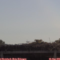 10_30-mast.jpg