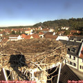 10_30-nest.jpg