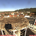 10_35-nest.jpg