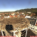 10_40-nest.jpg