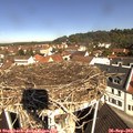 10_45-nest.jpg