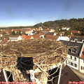 10_55-nest.jpg