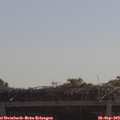 11_00-mast.jpg