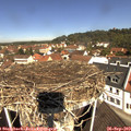 11_20-nest.jpg
