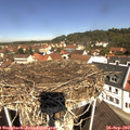 11_25-nest.jpg
