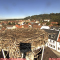 11_30-nest.jpg