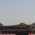 11_40-mast.jpg