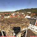 11_40-nest.jpg