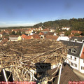 11_55-nest.jpg