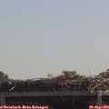 12_00-mast.jpg