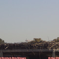 12_05-mast.jpg