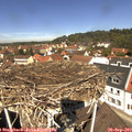 12_05-nest.jpg