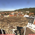12_10-nest.jpg