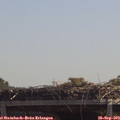 12_15-mast.jpg