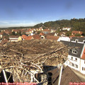 12_15-nest.jpg