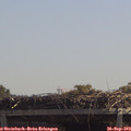 12_20-mast.jpg