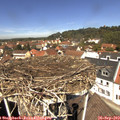 12_25-nest.jpg