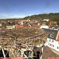 12_30-nest.jpg