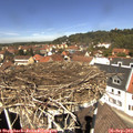 12_35-nest.jpg